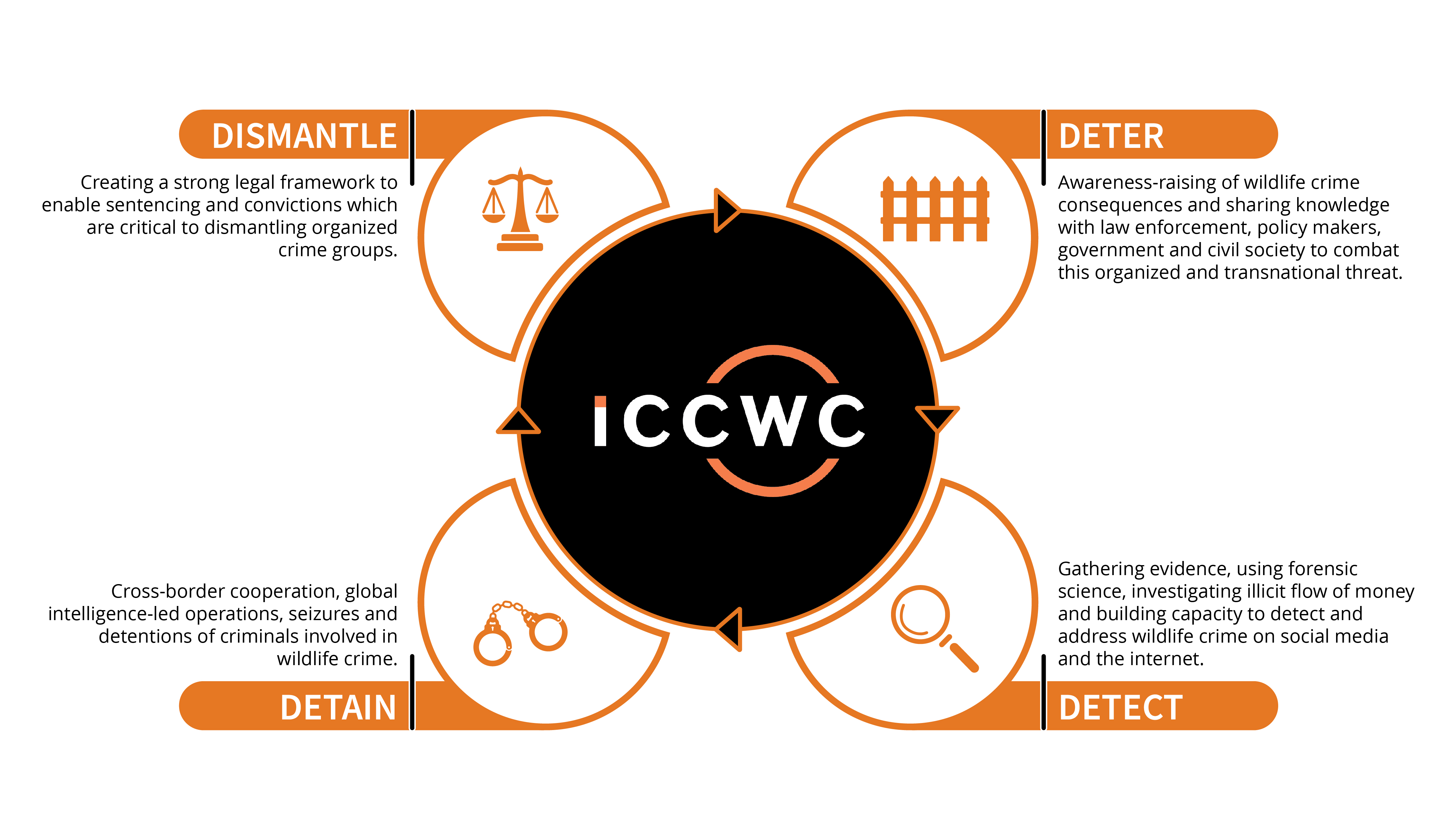 ICCWC Approach Infographic.jpg 